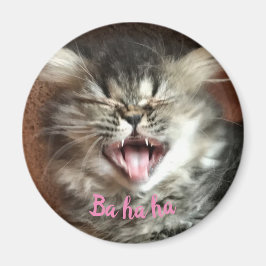 Funny Persian Cat Laughing Humore Gray Kitten Magnet