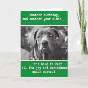 Funny Personalisiert Dog Foto Geburtstag Karte