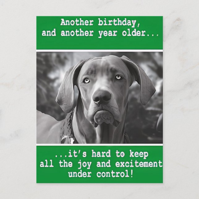 Funny Personalisiert Dog Foto Geburtstag Postkarte (Vorderseite)