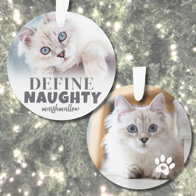 Funny Pet 2 Foto Weihnachten Ornament (Funny Pet 2 Photo Christmas Ornament )
