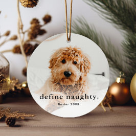 Funny Pet 2 Foto Weihnachten Ornament Aus Metall