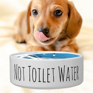 Funny Pet Bowl Einfache Minimalistische Niedliche  Napf