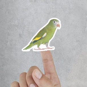 Funny Pet Cut Out Custom Foto Aufkleber