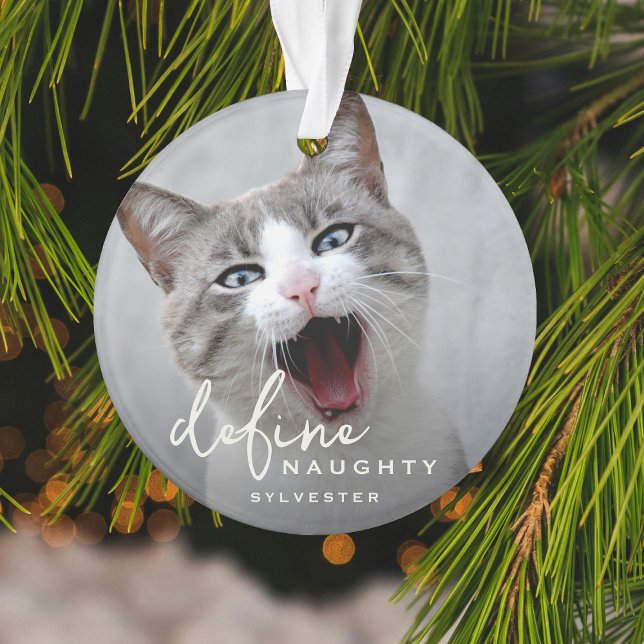 Funny Pet definieren naughty Christmas Ornament (Von Creator hochgeladen)