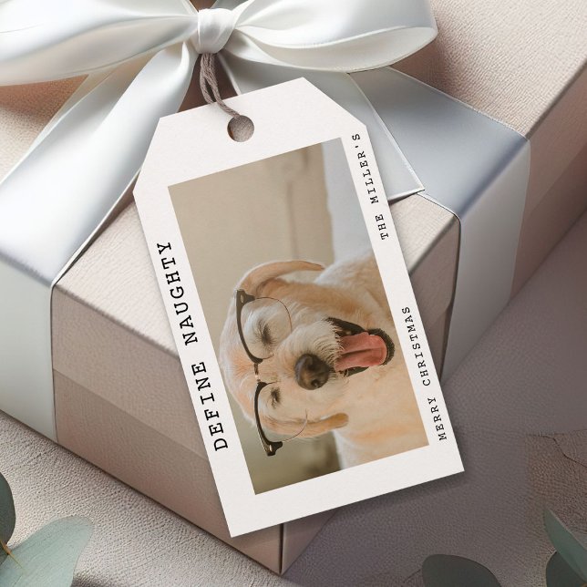 Funny Pet 'Definieren Naughty' Foto Weihnachten Geschenkanhänger (Von Creator hochgeladen)