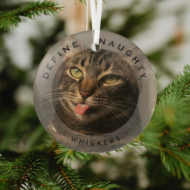 Funny Pet definieren Naughty Weihnachtsglas Foto Ornament Aus Glas (Von Creator hochgeladen)