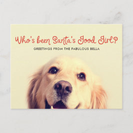 Funny Pet Dog Holiday | Foto Gruß Feiertagspostkarte