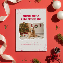 Funny Pet Dog Photo Christmas Holiday Postcard Postkarte