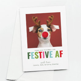 Funny Pet Hund Katze Foto Weihnachtskarte AF Festi Feiertagskarte