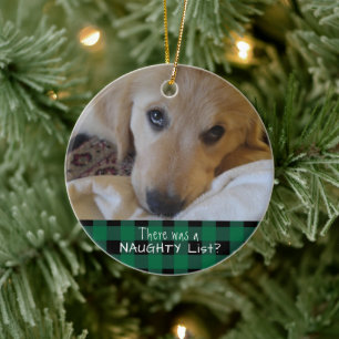 Funny Pet NAUGHTY ODER NICE Green Buffalo Kariert Keramik Ornament