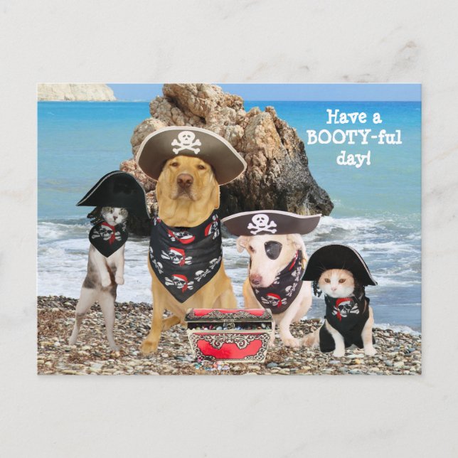 Funny Pet Pirate Day Postcard Postkarte (Vorderseite)