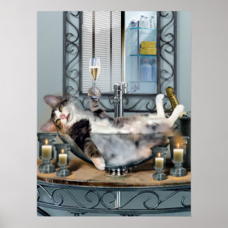 Funny Pet Poster Tipsy Kitty