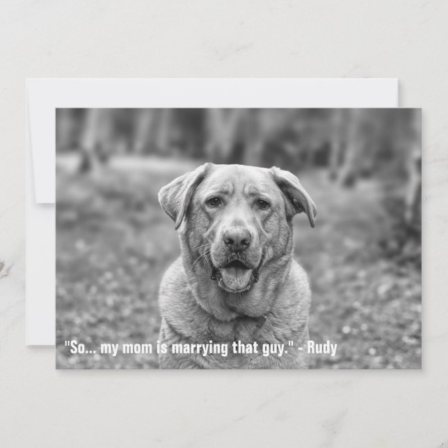 Funny Pet Save the Date Verlobung Ankündigung (Vorderseite)