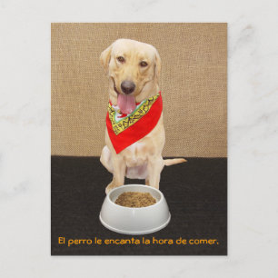 Funny Pet Spanische Postkarte & Unterrichtshilfe