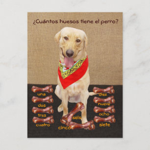 Funny Pet Spanische Postkarte & Unterrichtshilfe
