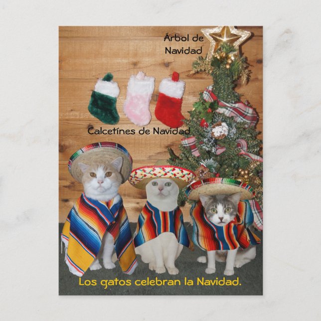 Funny Pet Spanische Postkarten für Spaß oder Unter (Vorderseite)