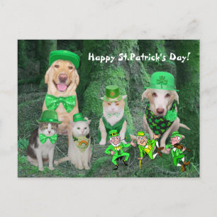 Funny Pets & Leprechauns Postkarte