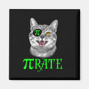 Funny Pi Day Math Science Cat Pirate Color Magnet