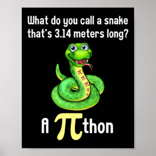Funny Pi Day Puns Pithon Math Lehrer Jokes Frauen Poster