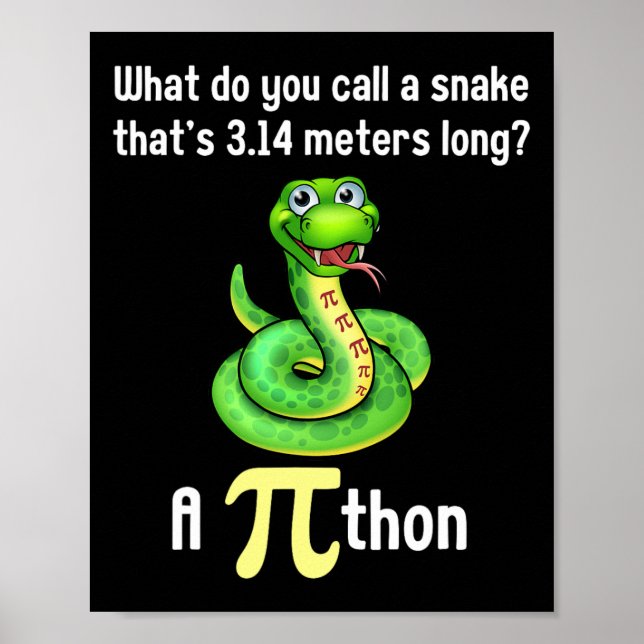 Funny Pi Day Puns Pithon Math Lehrer Jokes Frauen Poster (Vorne)