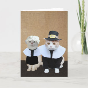 Funny Pilgrim Cats Erntedank Card Feiertagskarte