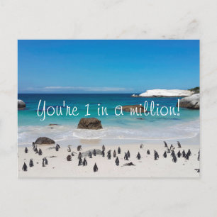 Funny Pinguins Vielen Dank Postkarte