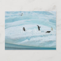 Funny Pinguins Vielen Dank