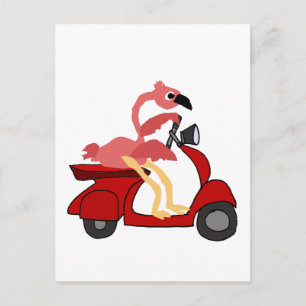 Funny Pink Flamingo Riding Motor Scooter Postkarte