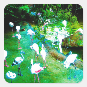 Funny Pink Flamingoes Wildlife Quadratischer Aufkleber