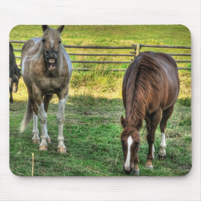 Funny Pinto Stallion & Sorrel Mare Horses Friends Mousepad (Vorne)