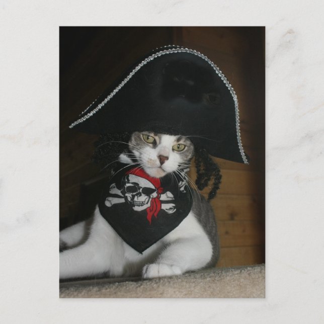 Funny Pirate Cat Postkarte (Vorderseite)