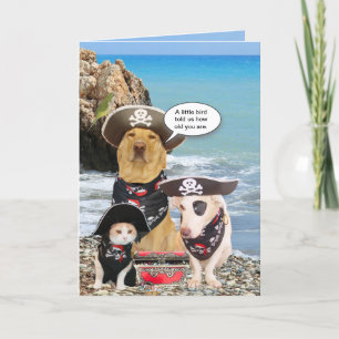 Funny Pirate Pets Birthday Karte
