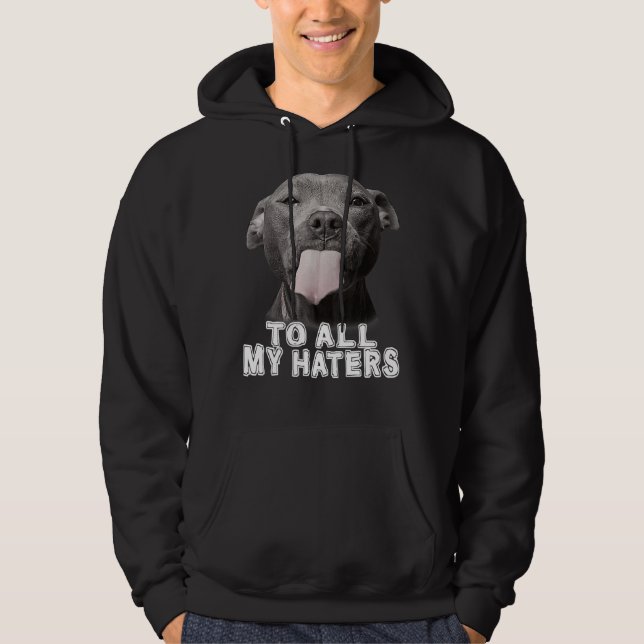 Funny Pitbull an alle meine Hater Pitbull Hund Lov Hoodie (Vorderseite)