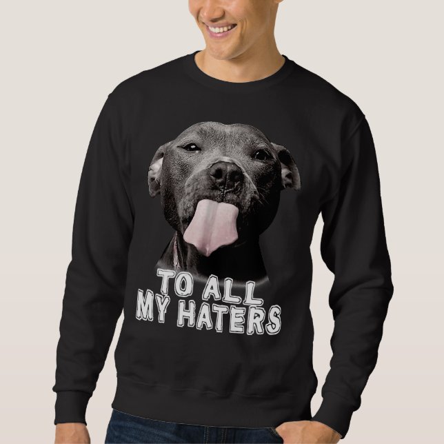 Funny Pitbull an alle meine Hater Pitbull Hund Lov Sweatshirt (Vorderseite)