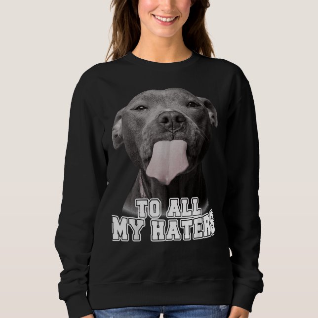 Funny Pitbull an alle meine Hater Pitbull Hund Lov Sweatshirt (Vorderseite)
