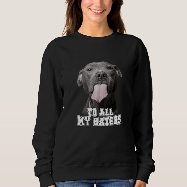 Funny Pitbull an alle meine Hater T - Shirt Pitbul (Vorderseite)