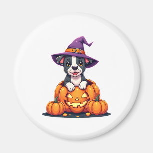 Funny Pitbull Hexch Pumpkin Dog Halloween Mens Wom Magnet