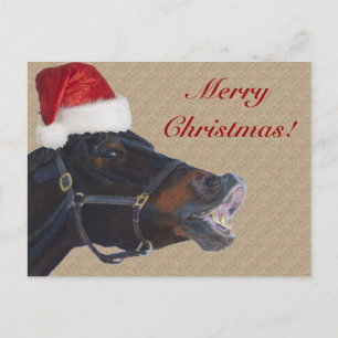 Funny Pony Merry Christmas Feiertagspostkarte