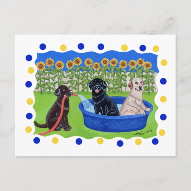 Funny Pool Party Labradors Postkarte (Vorderseite)