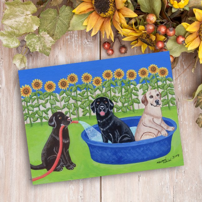 Funny Pool Party Labradors Postkarte (Funny Pool Party Labradors Postcard for Labrador Owners.  Sunflowers give summer vibes.  Cute.)