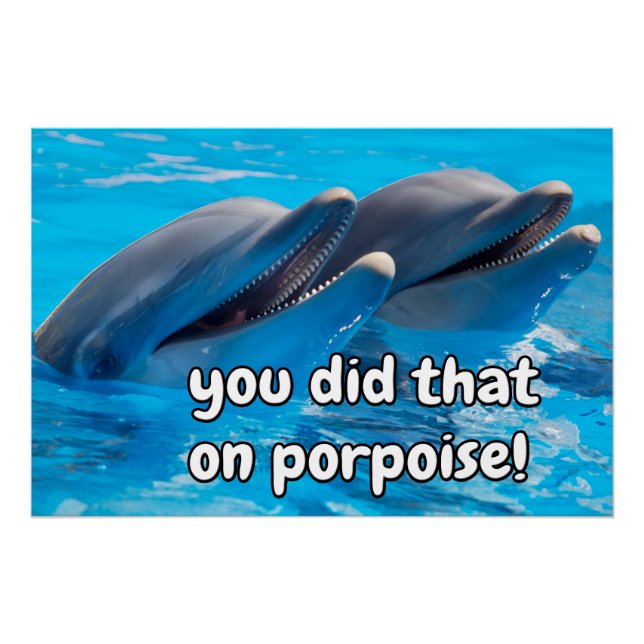 Funny Porpoise Memos Funny Porpoise Redewendungen  Poster (Vorderseite)