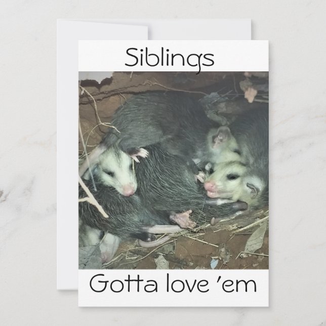 Funny Possum Siblings Feiertagskarte (Vorderseite)