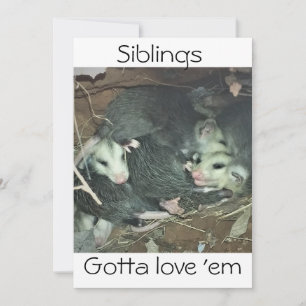 Funny Possum Siblings Feiertagskarte