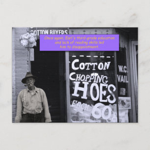 Funny Postcard - Cotton Chopping Houses Postkarte