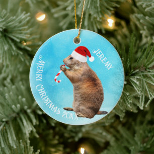 Funny Prairie Dog in Weihnachtsmannmütze Keramik Ornament
