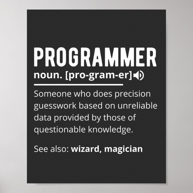 Funny Programmer Code Developer Definition Poster (Vorne)