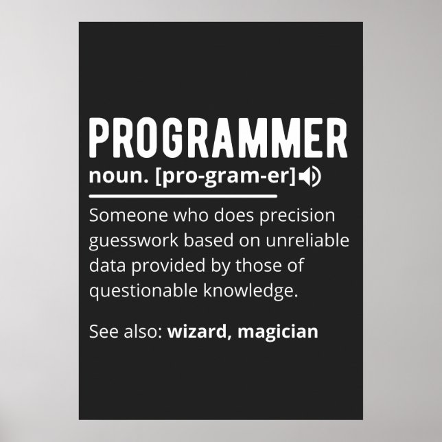 Funny Programmer Code Developer Definition Poster (Vorne)