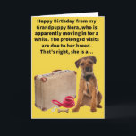 Funny Pun Boarder Terrier Happy Birthday Karte<br><div class="desc">Nora ist eine Grenz-Terrier, aber sie könnte auch Teil Golden Receiver sein, weil wir viel Freude von dieser seltsamen Jungfrau in unseren goldenen Jahren bekommen haben. Sie zieht morgen nach einem dreimonatigen bleibe auf unseren Welpen-Wellness-Center aus und wir freuen uns auf den nächsten Besuch von ihr und ihrem Hundebruder Archie!...</div>