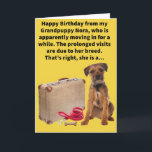 Funny Pun Boarder Terrier Happy Birthday Karte<br><div class="desc">Nora ist eine Grenz-Terrier, aber sie könnte auch Teil Golden Receiver sein, weil wir viel Freude von dieser seltsamen Jungfrau in unseren goldenen Jahren bekommen haben. Sie zieht morgen nach einem dreimonatigen bleibe auf unseren Welpen-Wellness-Center aus und wir freuen uns auf den nächsten Besuch von ihr und ihrem Hundebruder Archie!...</div>