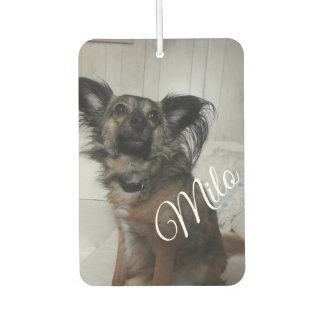Funny Puppy Doet Foto Personalisiert Autolufterfrischer